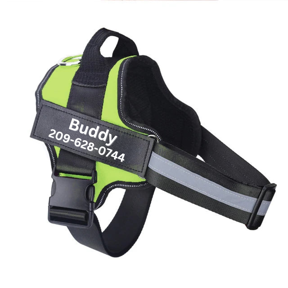 Personalized No Pull Dog Harness