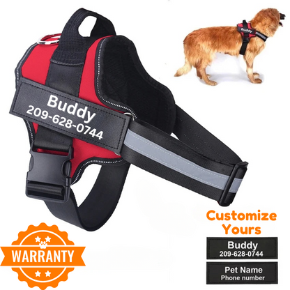 Personalized No Pull Dog Harness