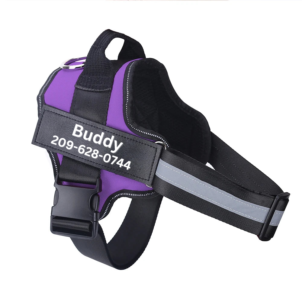 Personalized No Pull Dog Harness