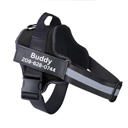 Personalized No Pull Dog Harness